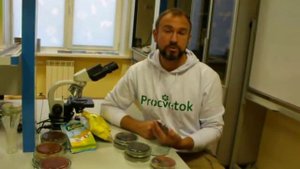 Препараты Сияние: оценка в лаборатории.
