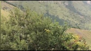 Горы Ингушетии. Кавказ. Ингушские башни