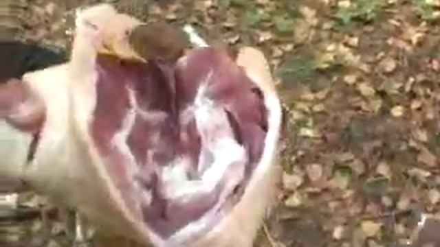 Испытание реплики черкесской шашки