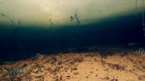 Игра блесны Mooselook Wobbler 38030S 10,5г