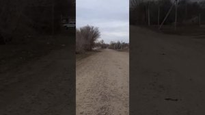 бывший савхоз имени ленина бородулихинский район восточно казахстанской области