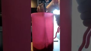 Кисель без варки из черники. Самый простой рецепт