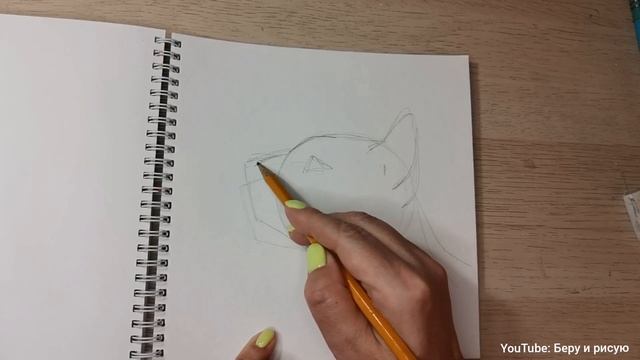 Кошка. Простой карандашный рисунок.