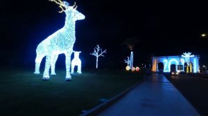 Отдых Египет великолепный риф | Reef Oasis Blue Bay Resort & Spa  Шарм Ель Шейх