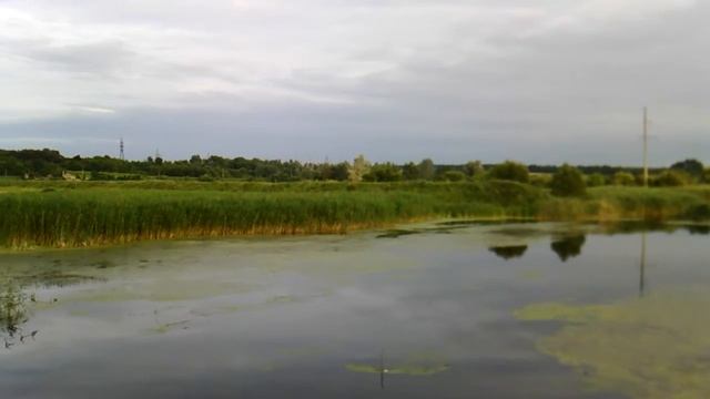 Берестовенька