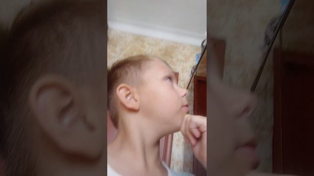 место для пряток на 1 сентября