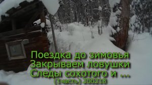 Поездка до зимовья  Закрываем ловушки  Следы сохатого и ...