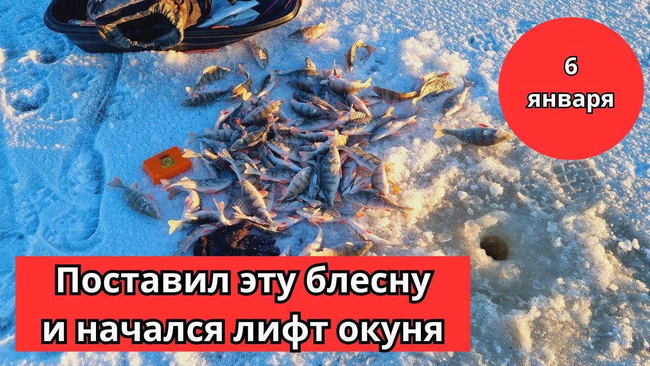 #59 #зимняяловлярыбы Окунь клюёт на эту блесну без перерыва. Показываю ЛИФТ НА ФИНСКОМ ЗАЛИВЕ