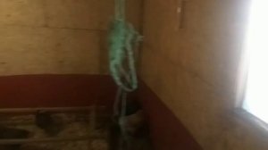 Сухой дизельный фен KING MOON 2кВт, расход топлива на максимальной мощности