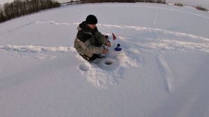 на старых местах нет щук а вот на новых есть