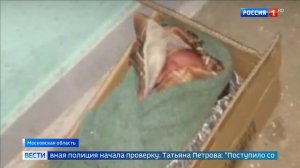 Новорожденного ребенка нашли на этаже дома в Мытищах