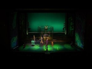 СОБАЧЬЕ СЕРДЦЕ