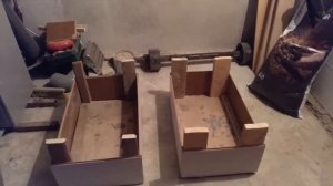 Черенкование туи Брабант - весь процесс от и до