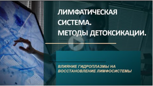 Лимфатическая система. Методы детоксикации. Влияние гидроплазмы WFL на восстановление лимфосистемы.