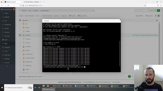 Api Whatsapp Grátis com tratamento de números | aaPanel смотреть онлайн