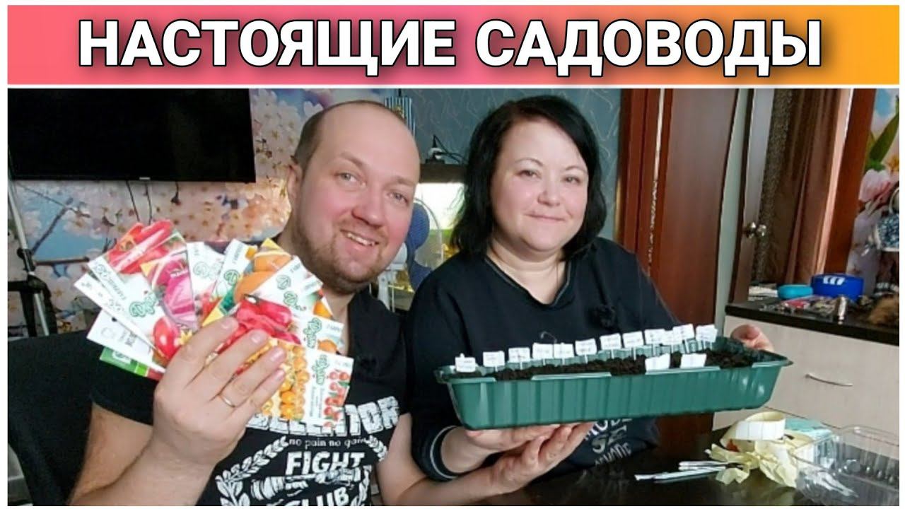 Посев помидор на рассаду/Когда сеять помидоры на рассаду/Как сеять помидоры/Рассада томатов/Влог!