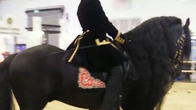 Эквитана 2013 - Царская Конная Амуниция - Эксклюзив!!! смотреть онлайн