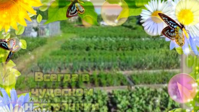???23 июля День дачника? С Днем дачника!?Красивая музыкальная открытка
