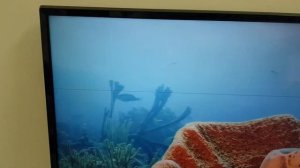 LG 49UM7090PLA с дефектом экрана вертикальная и горизонтальная полоса