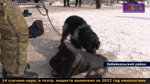 6 +  В Забайкальске прошли соревнования кинологов Читинской таможни.