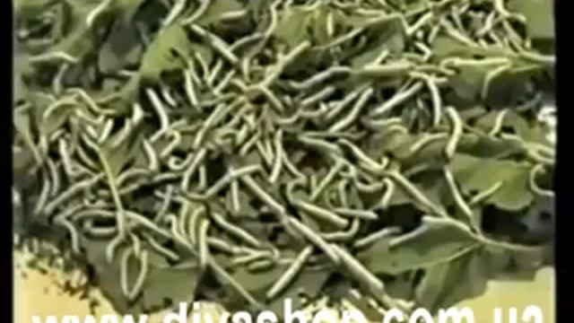 Купить шелковые одеяла и подушки Aonassi смотреть онлайн