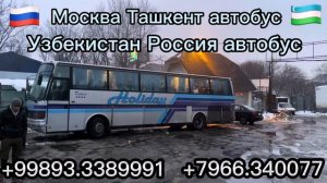 Москва Ташкент автобус Ташкент Москва автобус