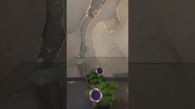 Петуния вегетативная Рим Виолет (Rim Violet) смотреть онлайн