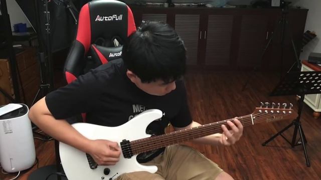 My new guitar ibanez az