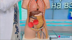 Боли при менструации. Что делать? Здоровье. Фрагмент выпуска от 22.01.2017