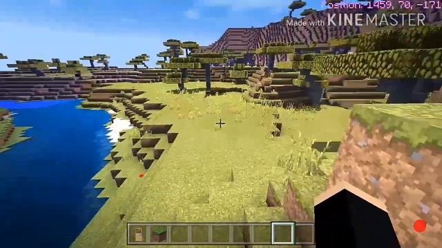 Minecraft hidden door?