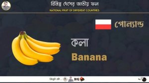 National Fruit of Different Countries | বিভিন্ন দেশের জাতীয় ফল | Naldanga IT Center