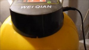 Инкубация перепелиных яиц из магазина. Часть 2