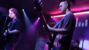 Снежные псы