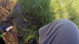 Как поймать Щуку в Жару?  ZipBaits Orbit 130SP