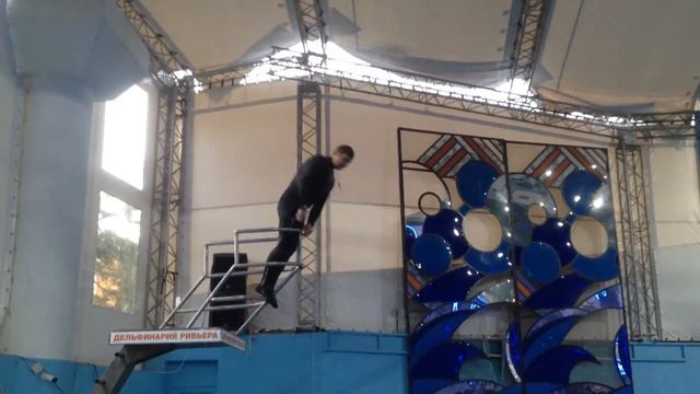 Самый высокий прыжок дельфинов смотреть онлайн