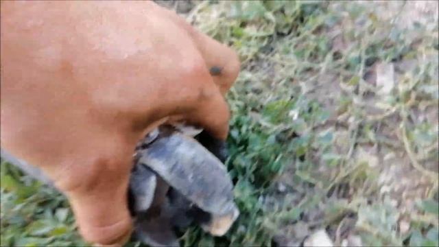 Как почистить скважину от песка и камней своими руками смотреть онлайн