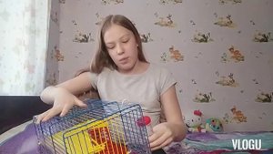 Всё про хомяков/+ и -/ как уговорить родителей купить хомяка/моя история/