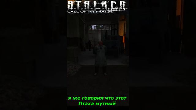 #shorts #S.T.A.L.K.E.R #НАРЕЗКА # ПРИКОЛ # я же говорил что этот Птаха мутный