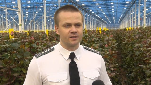 Букеты под контролем Россельхознадзора.mp4 смотреть онлайн