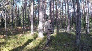WerWolf КОСТЮМ БЕРКУТ ЛЕТНИЙ