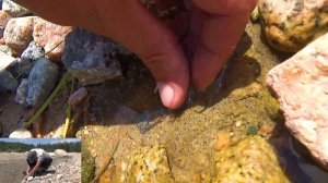 На монете 25 бани в грязь