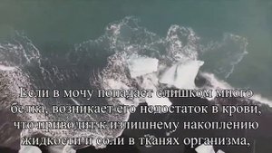 Как жить с одной почкой советы врача — Статья