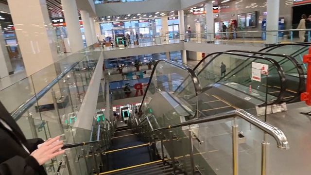 Красотка Диана предлагает сим карты МТС смотреть онлайн