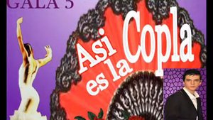 CALLE ELVIRA - MIGUEL ÁNGEL LOPEZ.wmv