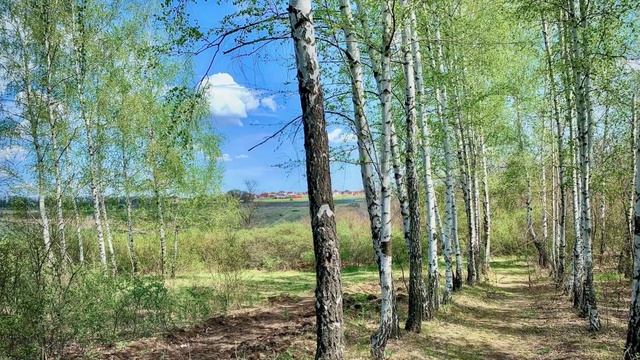 Поездка на пикапе в окрестностях Щепкинского леса смотреть онлайн