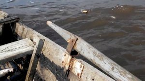 Ловим рыбу на реке Амур, г. Хабаровск