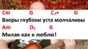 Поём под гитару романс "Снился мне сад"