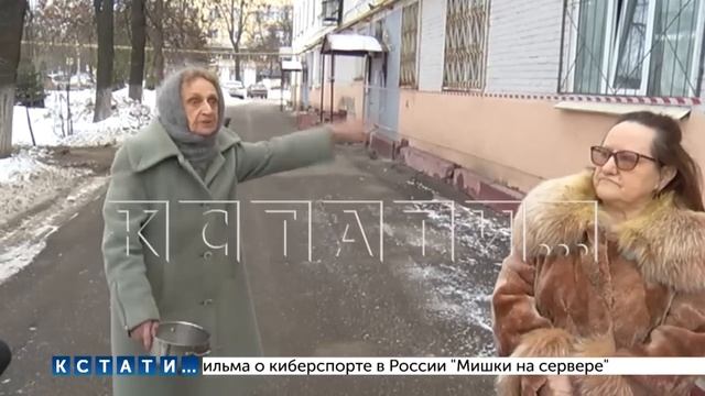 Обратная сторона зоозащиты - агрессивные собаки нападают на соседей профессиональной зоозащитницы