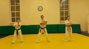 Техника 9-кю. Блок  маваши-укэ.