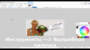 Как убрать фон с картинки в графическом редакторе paint.net